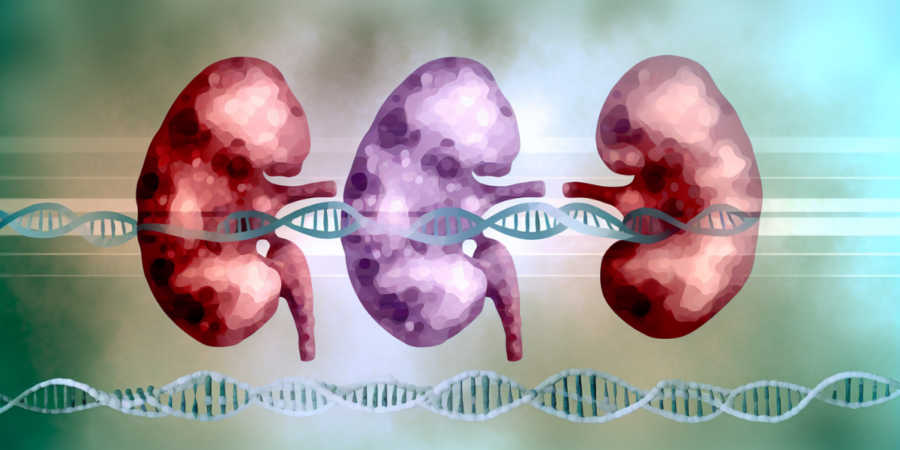 Congenital adrenal hyperplasia